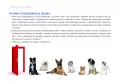 Ja i mój świat 2. Podręcznik. Cz.2 - tantis.pl
