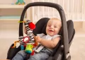 Zawieszka Zebra Zoya z pozytywką 84810 - tantis.pl