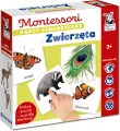 Montessori. Karty sensoryczne. Zwierzęta 2+ - tantis.pl