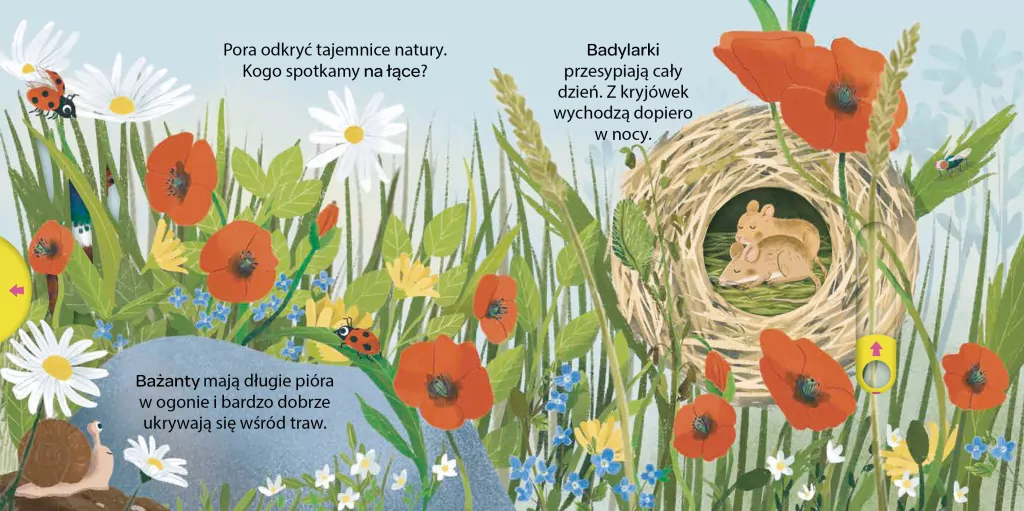 Na łące. Młodzi przyrodnicy - tantis.pl