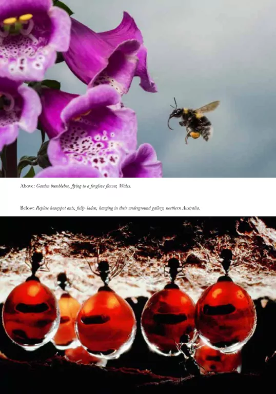 Na ścieżkach życia - tantis.pl