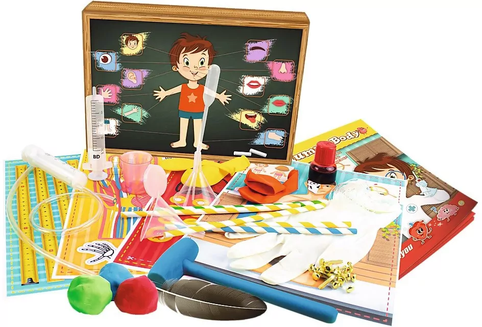 Ciało człowieka TREFL - tantis.pl