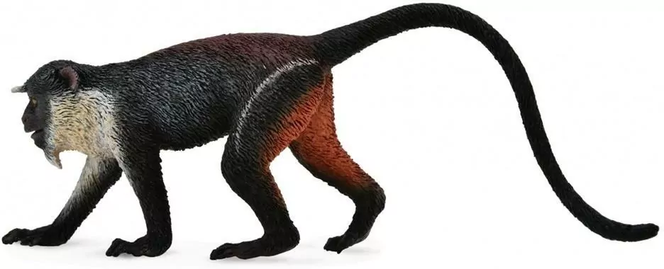 Koczkodan Diana - tantis.pl