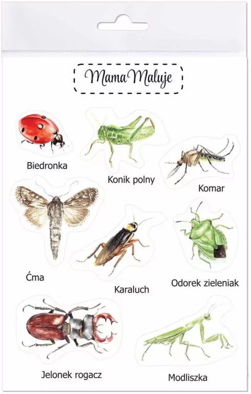 Naklejki duże Owady 1 - tantis.pl