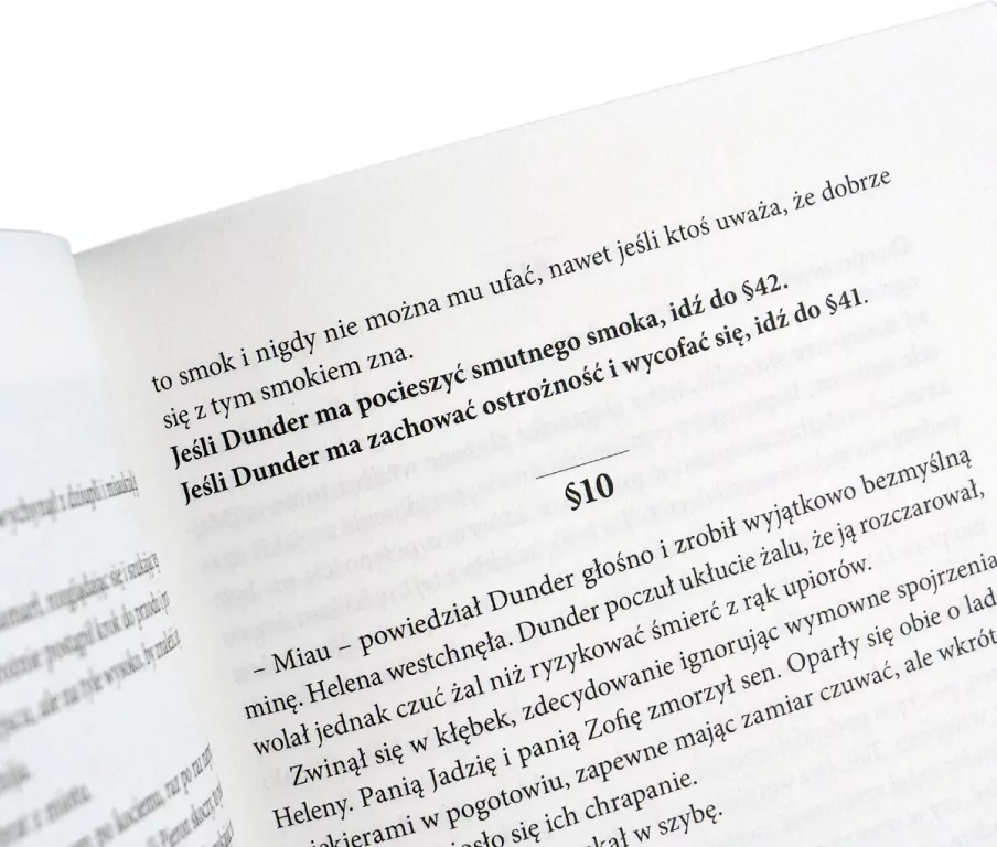 Dunder albo kot z zaświatu - tantis.pl