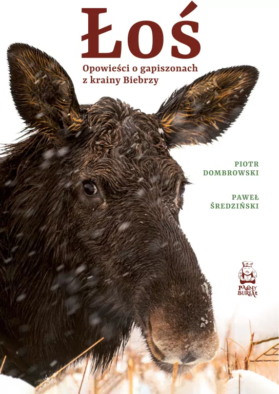 Łoś. Opowieści o gapiszonach z krainy Biebrzy - tantis.pl