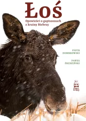 Łoś. Opowieści o gapiszonach z krainy Biebrzy