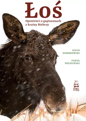 Łoś. Opowieści o gapiszonach z krainy Biebrzy