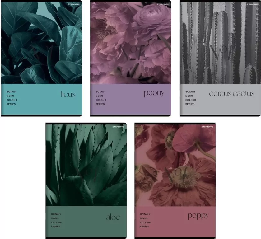 Zeszyt A5/96K kratka Botany  TOP2000 - tantis.pl