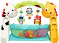 Fisher-Price Przyrząd gimnastyczny CCB70 p2 MATTEL - tantis.pl