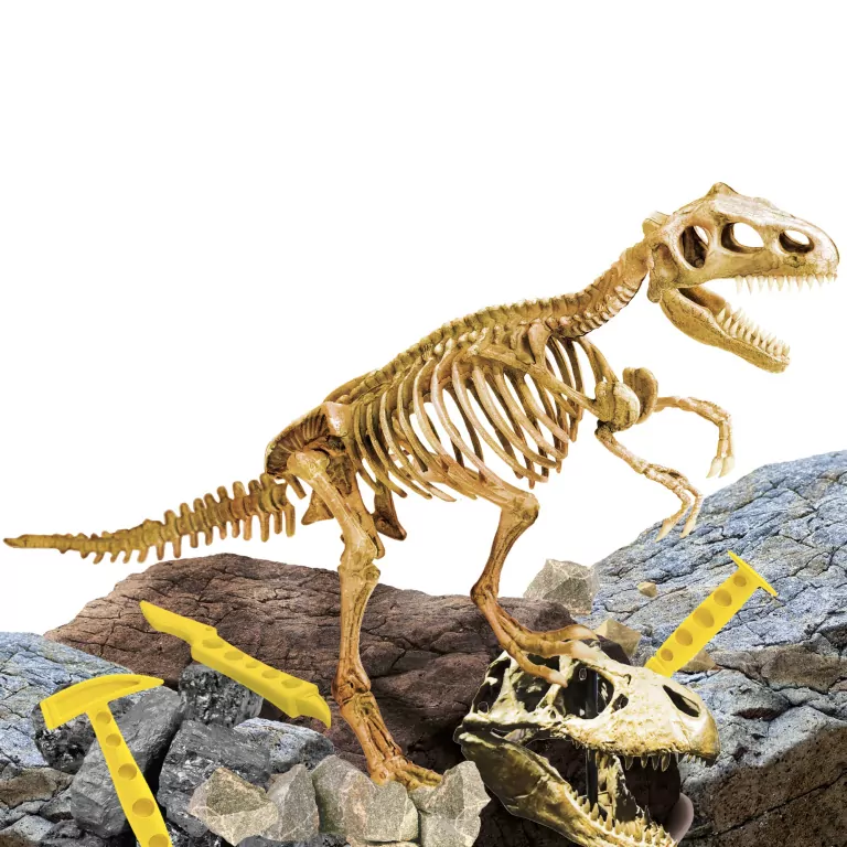 Superkit T-Rex. I'm a genius - tantis.pl