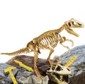 Superkit T-Rex. I'm a genius - tantis.pl
