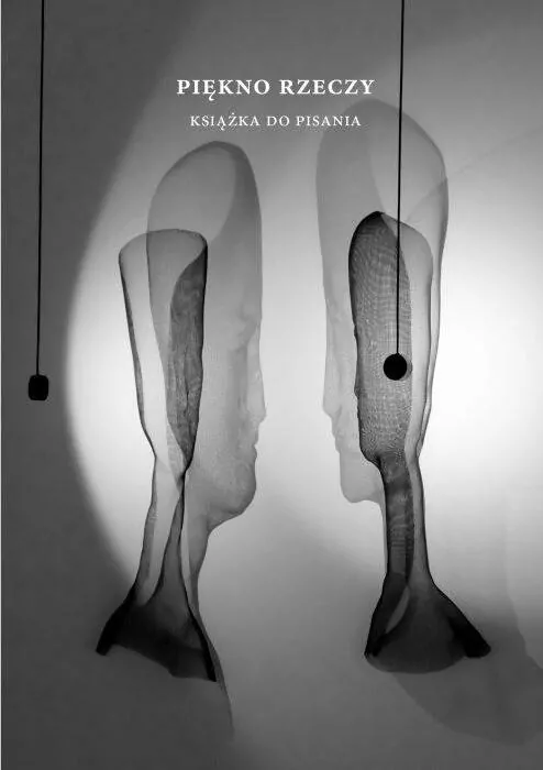 Piękno rzeczy. Książka do pisania - tantis.pl