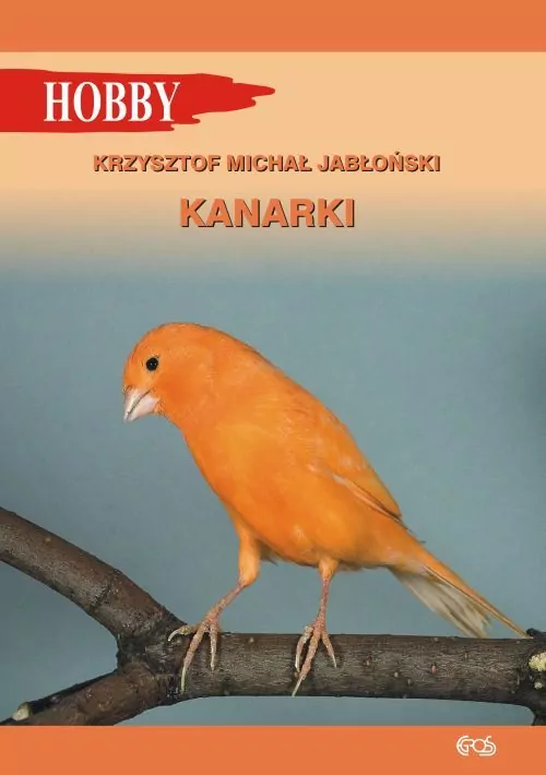 Kanarki - tantis.pl