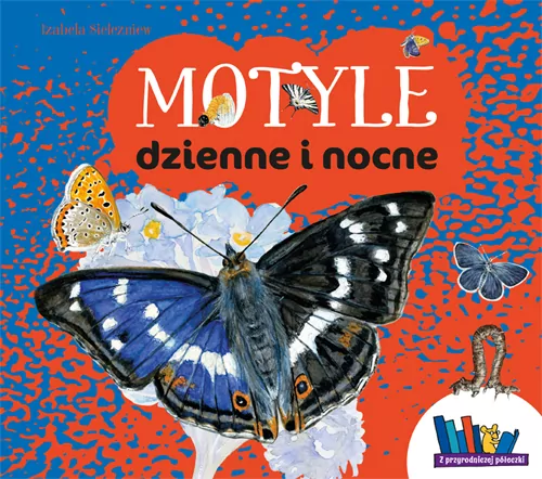 Motyle dzienne i nocne - tantis.pl
