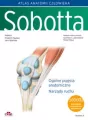 Atlas anatomii człowieka Sobotta. Tom 1. Łacińskie mianownictwo. Ogólne pojęcia anatomiczne. Narządy - tantis.pl