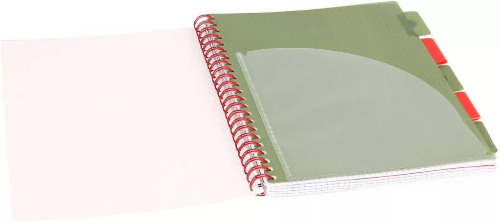 Kołozeszyt Pads B5/100K kratka Tropiki Papuga - tantis.pl