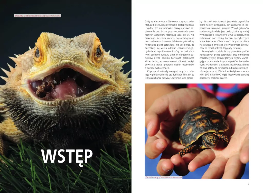 Atlas gadów hodowlanych - tantis.pl