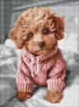 Diamentowa mozaika - Magiczny Maltipoo 30x40cm - tantis.pl