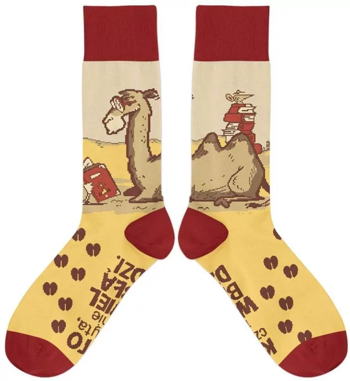 Skarpetki - Kto czyta, nie wielbłądzi rozm. 37/41 - tantis.pl