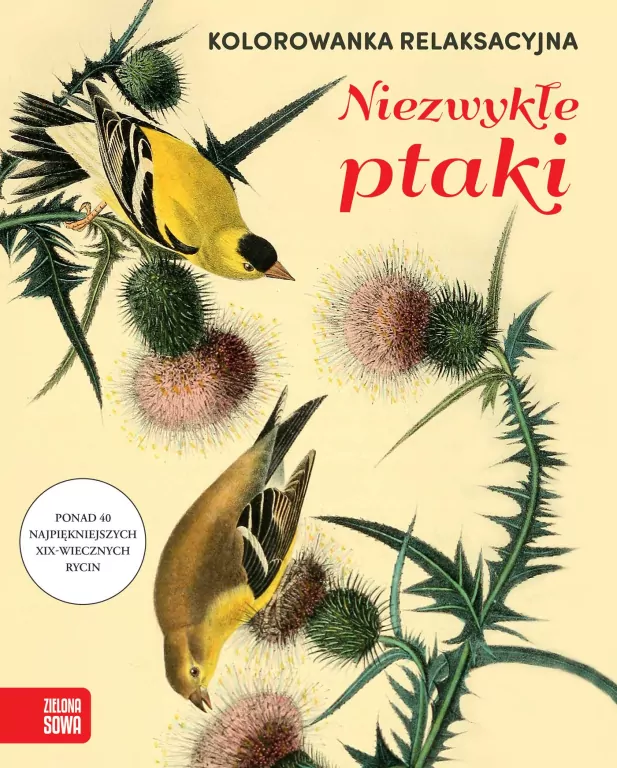 Kolorowanka relaksacyjna. Niezwykłe ptaki - tantis.pl