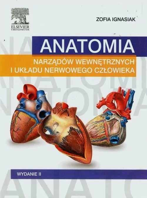 Anatomia narządów wewnętrznych i układu nerwowego człowieka - tantis.pl
