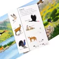 W górach. Ćwiczymy spostrzegawczość 2+. Pierwsza ekoksiążeczka Twojego Dziecka - tantis.pl