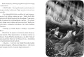 Lis z Martwego Lasu - tantis.pl