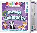 Poznaję zwierzęta. BrainBox - tantis.pl