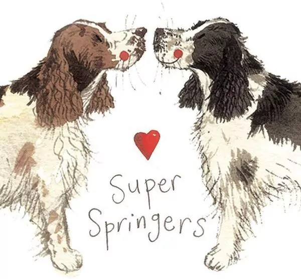 Magnes FM02 Springer spaniel - tantis.pl