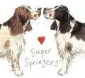 Magnes FM02 Springer spaniel - tantis.pl