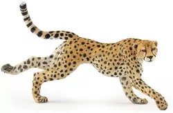 Gepard grzywiasty biegnący