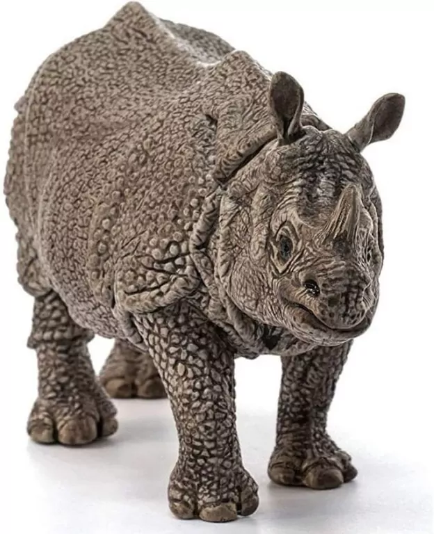 Nosorożec pancerny 14816 - tantis.pl