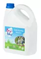 Fru Blu. Płyn do baniek mydlanych 3l - tantis.pl
