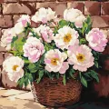 Malowanie po numerach - Delikatny aromat 40x40cm - tantis.pl