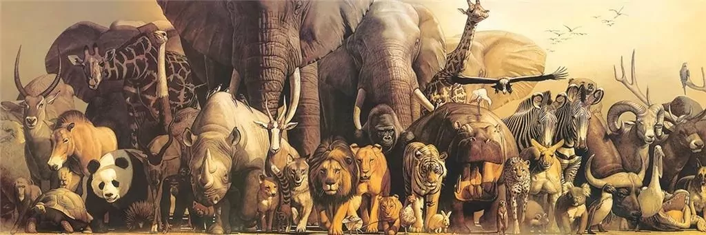 Puzzle 1000. Arka Noego - tantis.pl