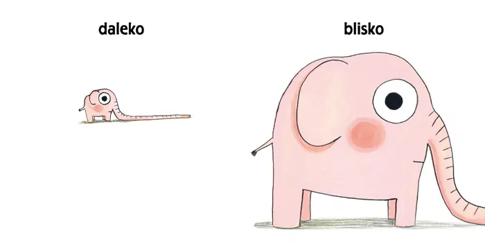 Pomelo i przeciwieństwa - tantis.pl