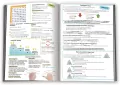 Korepetytor 4-6. Liczby - tantis.pl