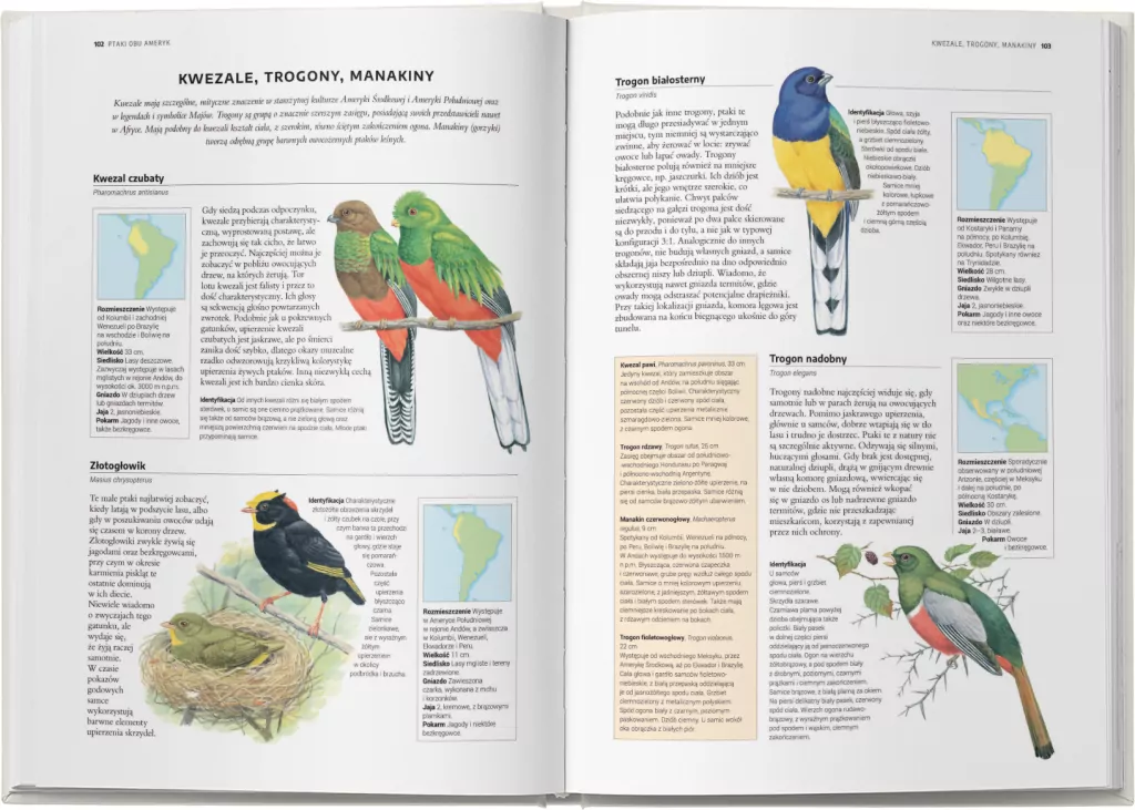 Encyklopedia ptaków świata - tantis.pl