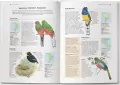 Encyklopedia ptaków świata - tantis.pl