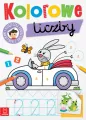 Kolorowe liczby. Edukacyjna książeczka - tantis.pl
