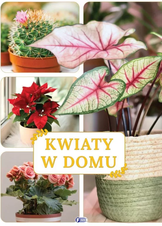 Kwiaty w domu - tantis.pl