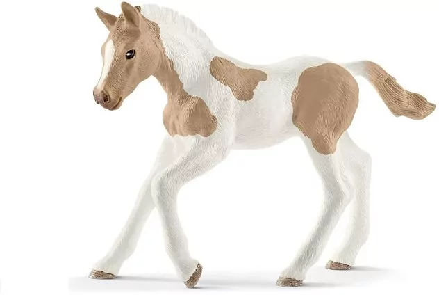 Źrebię rasy Paint Foal - tantis.pl
