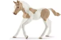 Źrebię rasy Paint Foal - tantis.pl