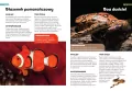 Encyklopedia zwierząt dla dzieci - tantis.pl