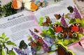Motyle. Modele 3D. Młodzi przyrodnicy - tantis.pl