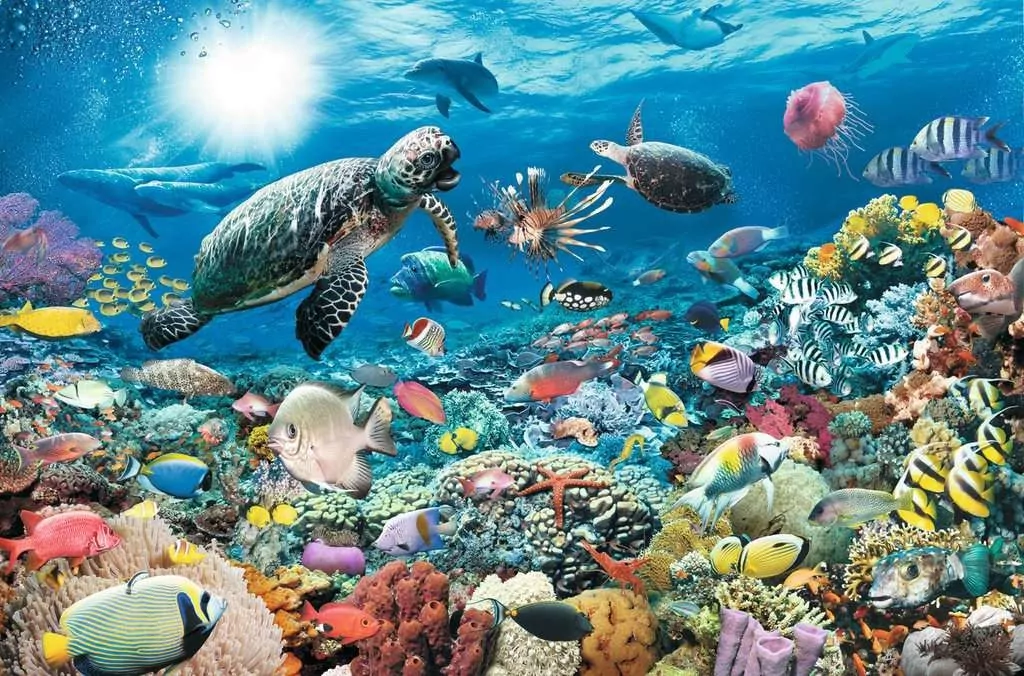Puzzle 5000. Glębia oceanu - tantis.pl