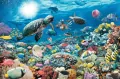 Puzzle 5000. Glębia oceanu - tantis.pl