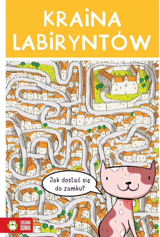 Kraina labiryntów - tantis.pl