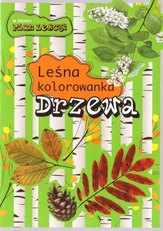 Leśna kolorowanka. Drzewa - tantis.pl